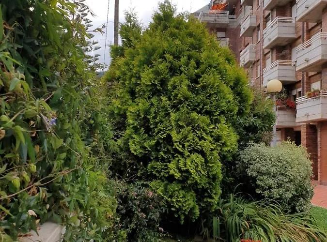 Campomar Garaje Incluido